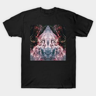 What Do You Seek T-Shirt